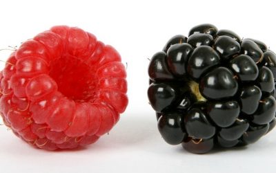 Tres pueblos de Huelva cambian las uvas por frutos rojos para despedir el año